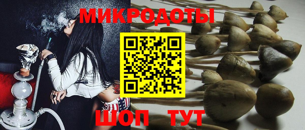 Псилоцибиновые грибы Magic Shrooms  Вход с VPN  Балтийск 