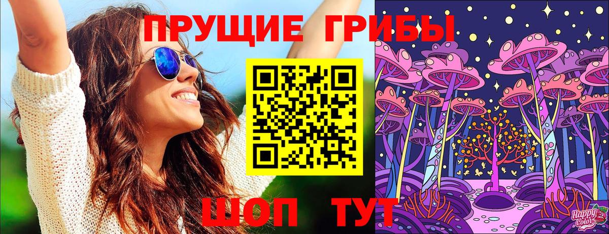 Галлюциногенные грибы Psilocybine cubensis Балтийск